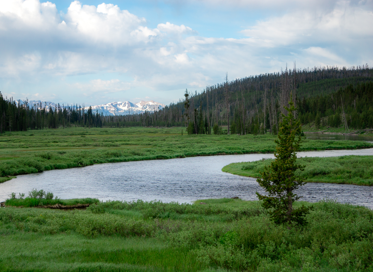 River and grassy field with Teton mountains in background