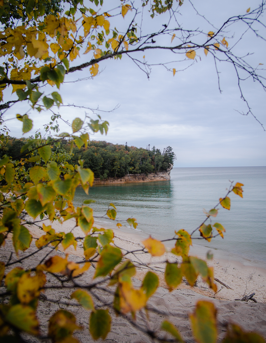 Yellow leaves during fall at Pictured Rocks
