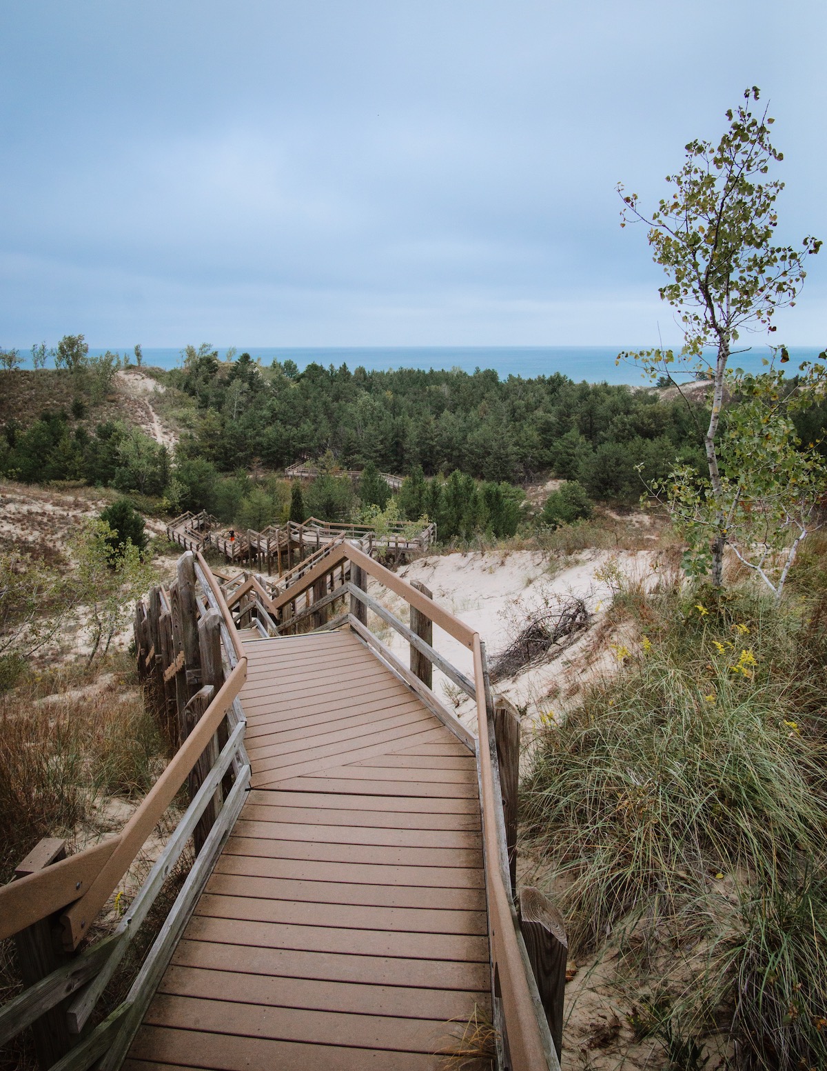 Views from the boardwalk of the Dune Succession Trail