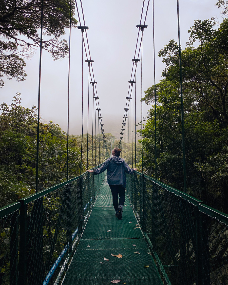 Walking on hanging bridges