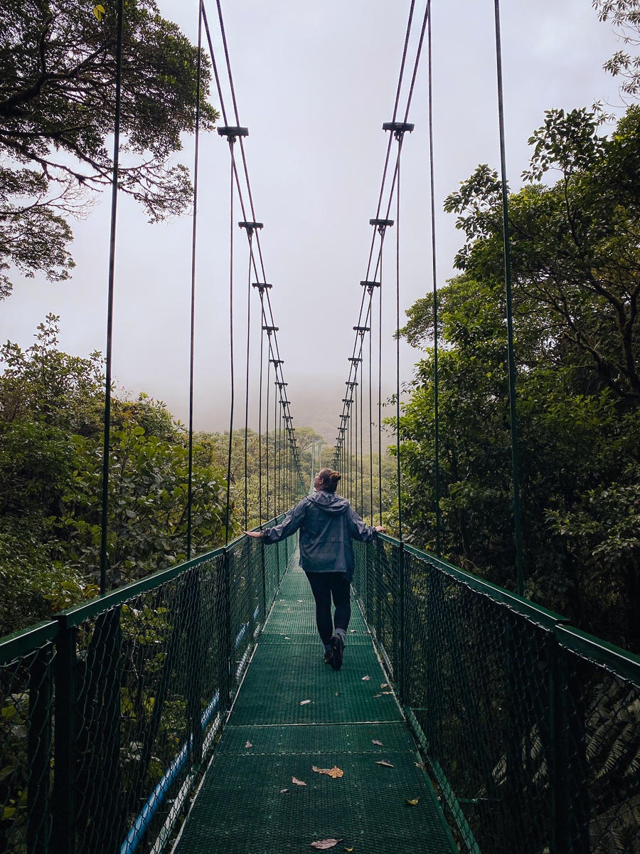 Walking on hanging bridges
