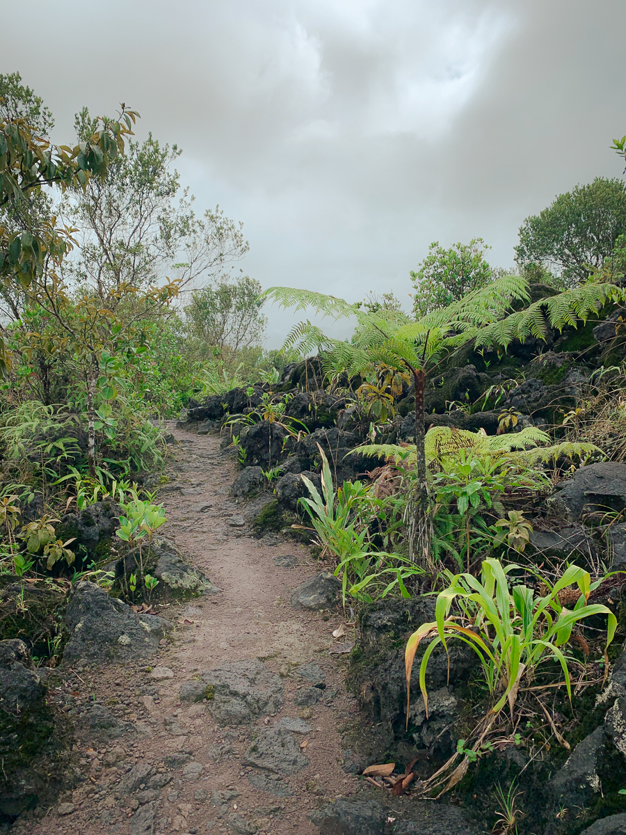 Hiking trail from 1968 Arenal park