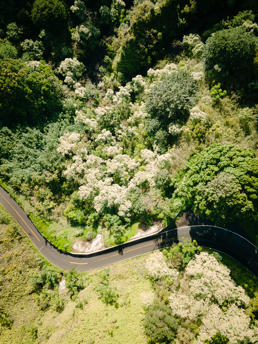 Twisting road to Hana from above