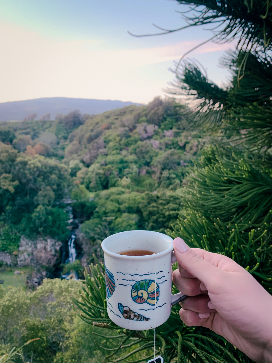 Coffee cup in upcountry Maui at sunrise